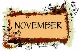 November 2025 Newsletter